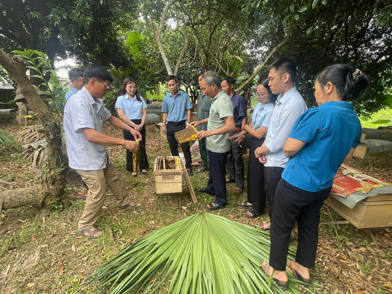 Kiểm tra chất lượng ong giống