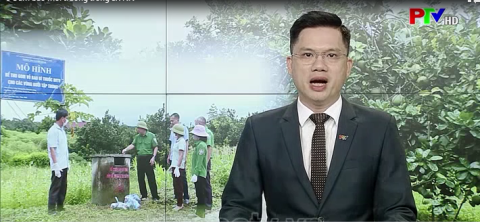 Đảm bảo môi trường trong sản xuất nông nghiệp