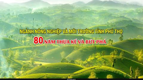 Ngành Nông nghiệp và Môi trường Phú Thọ 80 năm kế thừa và bứt phá