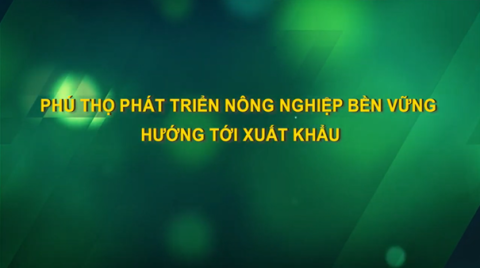 PHÚ THỌ PHÁT TRIỂN NÔNG NGHIỆP HƯỚNG TỚI XUẤT KHẨU