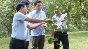 Phát triển các chuỗi cung cấp thực phẩm an toàn