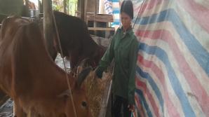 2024_1_24_9_24_1_638416850414765584_Ảnh phòng chống rét vụ đông xuân 2024..jpg