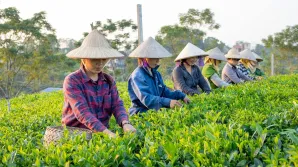 chuyen-doi-so-trong-khu-vuc-kinh-te-hop-tac-htx-de-chu-dong-thich-ung-232115_494.web