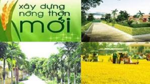 2019_4_11_13_31_35_636905862958854794_nongthonmoi.jpg 