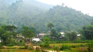 đầu tư phát triển rừng đặc dụng tại các xóm vùng đệm Vườn quốc gia Xuân Sơn