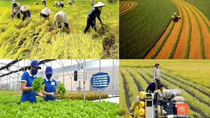 Giải pháp nâng cao hiệu quả đào tạo nghề nông nghiệp cho lao động nông thôn